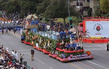 Lucy Pet Takes The Trophy At The Tournament Of Roses