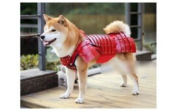 Make Sure Your Pet is Kung Fu Ready With Warrior Samurai Armor