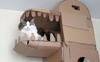 Man Builds Amazing Cat Creations From Cardboard