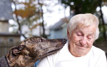 Meals On Wheels Offers “AniMeals” Service For Seniors And Disabled