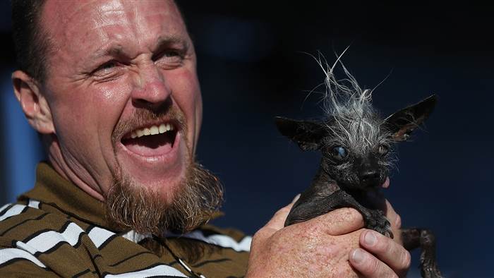 meet sweepee rambo the 2016 worlds ugliest dog