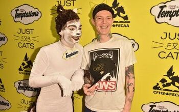 Meow-sician Deadmau5 Pounces On Just For Cats Film Festival