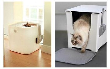 Modko Litter Boxes Keep Your Decor Clean and Classy