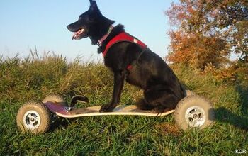 Mountain Boarding With Dogs: Off-Roading Adventures Powered By Pooches