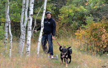 Mountain Boarding With Dogs: Off-Roading Adventures Powered By Pooches