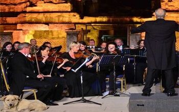 Musically Inclined Dog Sneaks Into Symphony Performance [Video]