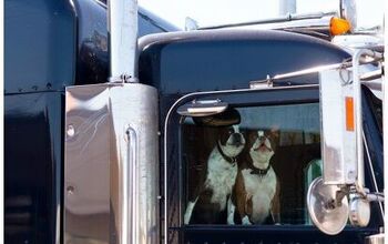 Mutts4Trucks Pairs Shelter Dogs And Truck Drivers To Hit The Open Road