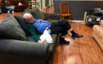 Napping Grandpa Raised $30,000 for a Cat Sanctuary By Snoozing With Ki