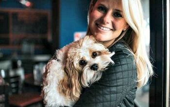 New App Connects Dog Mamas to the Businesses That Welcome Them