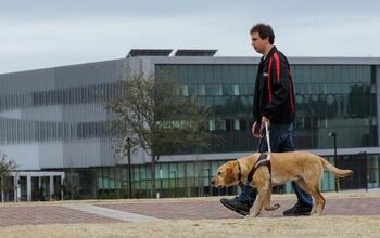 New Device Allows The Blind To Monitor Their Guide Dog