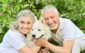 New Study Shows Surprising Effect of Pet Ownership on Seniors