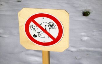 New York’s Potential Dog Poop Problem Will Scare The Crap Out Of You