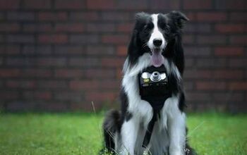 Nikon’s Heartography Camera Turns Dogs Into Pup-arazzi [Video]