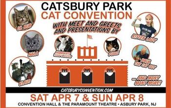 NY Cat Convention Promises to Wow Kitty Pawrents