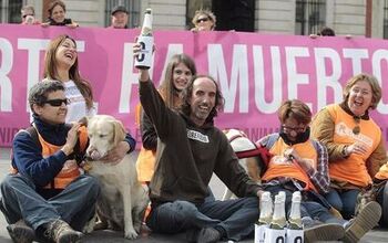 Olé To Madrid – Now An Official No-Kill City!