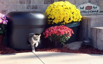 Our Guide to the Best Outdoor Cat Houses