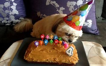 Party-Down Dog Birthday Cake Recipe