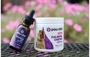 Paw CBD: Walking Dogs Away From Worry