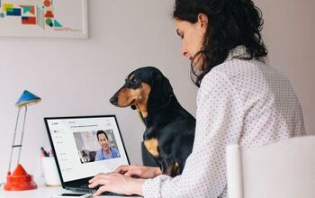 Pawp’s 24/7 Online Vet Clinic Saves You Money On Vet Bills – Here�