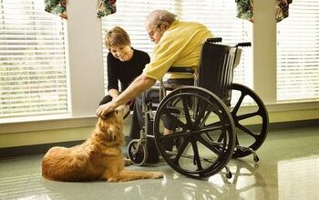 Peace of Mind Program Keeps Palliative Patients and Their Pets Togethe