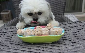 Peanut Butter And Carob Frozen Dog Treat Recipe