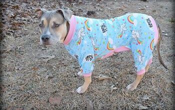 Perfect Pajamas For Your Pooch