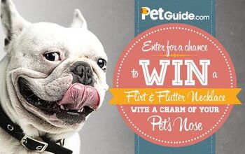 PetGuide.com Reader Appreciation Giveaway