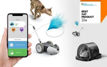 PetGuide’s Best New Cat Product of 2018: Petronics Mousr