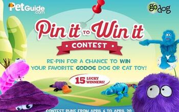 PetGuide’s First Pin It To Win It Pinterest Contest!