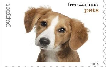 Pets Go Postal on First Class “Forever Pets” Stamps