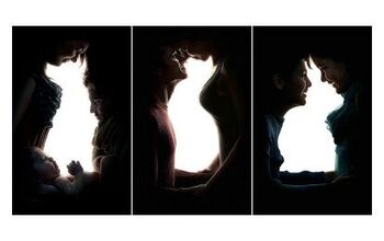 Pets Hidden in Optical Illusions Reveal a Double Meaning