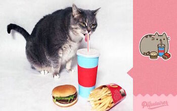 Photographer Hilariously Recreates Pusheen Stickers IRL