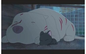 Pixar’s KitBull Showcases Dog Fighting Awareness and Unlikely Friend