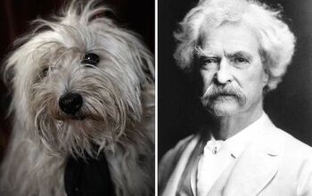 Poetic Dogs Photo Series Casts Pups As Literary Icons