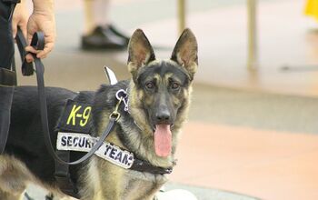 Police Dog’s Heroic Sacrifice The Inspiration Behind Aron’s Law