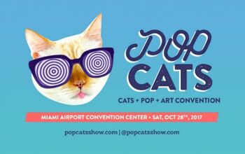 POPCats Brings Catitude to Miami This October