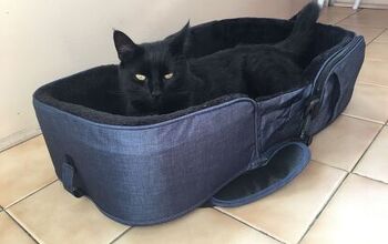 Product Review: Gen7 Traveler Portable Pet Bed