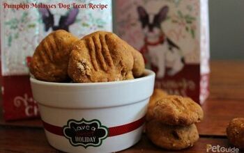 Pumpkin Molasses Dog Treat Recipe