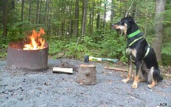 Pups With Tents: Hot Dogs And Campfire Safety