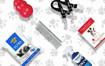 Readers’ Picks: The Best Pet Products on Amazon, According to You