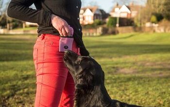 Running Buddy Helps You Go Hands-Free on Dog Walk