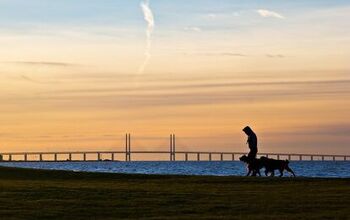 Safety Tips For Running With a Dog at Night