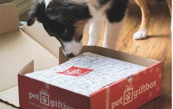 Say “Cheers” to Pet Gift Boxes… Care of Famous TV Mailman, Cliff