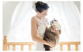 Say Cheese to These Gorgeous Brides and Their Meow Maids