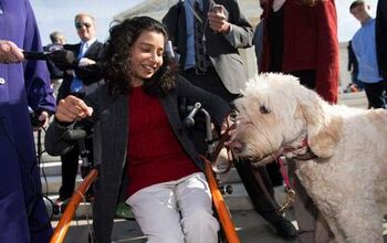 Service Dog Denied Entry Into Elementary School Heads to Supreme Court