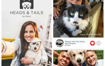 Smile for Petco’s Pet Selfie App – It’s For a Great Cause!