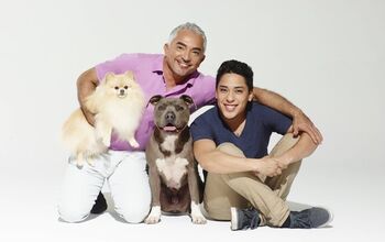 Snout to Snout: Q&A With “Dog Nation” Star Cesar Millan