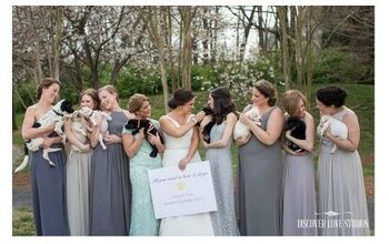 Something New: Puppies the Spotlight at North Carolina Couple’s Wedd