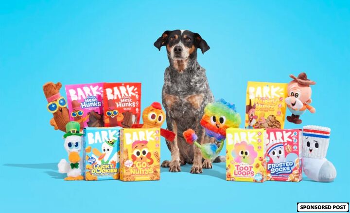 step back in time with the snack pack from bark