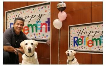 Story of Airport Service Dog’s Retirement Party Gives Us Wings!